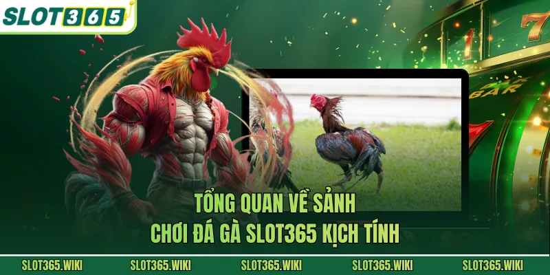 Tổng quan về sảnh chơi đá gà SLOT365 kịch tính
